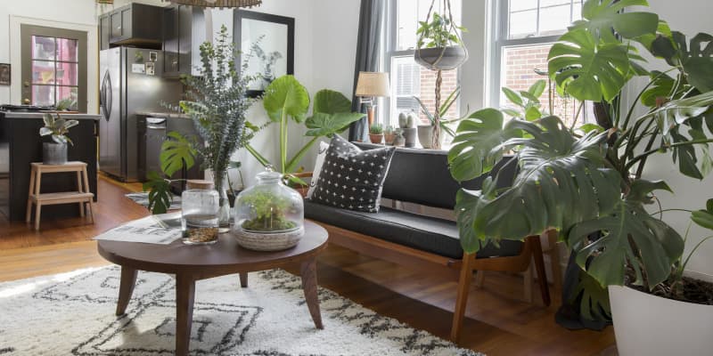 Natural living top room ideas